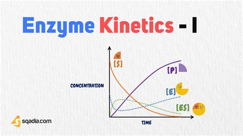 Kinetic study on the molecular mechanism of light